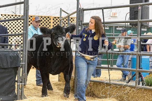 2017_rogers_county_fair-9808