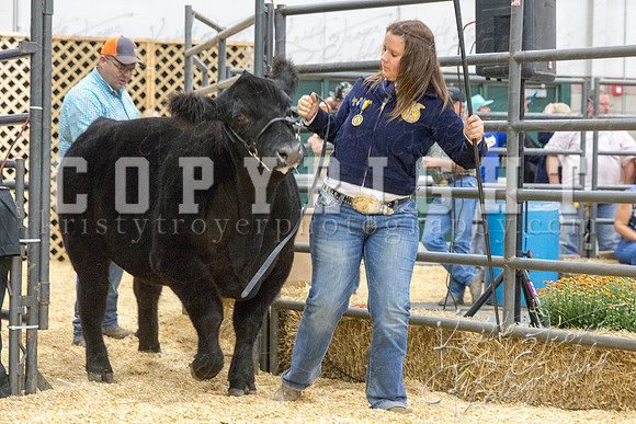 2017_rogers_county_fair-9809