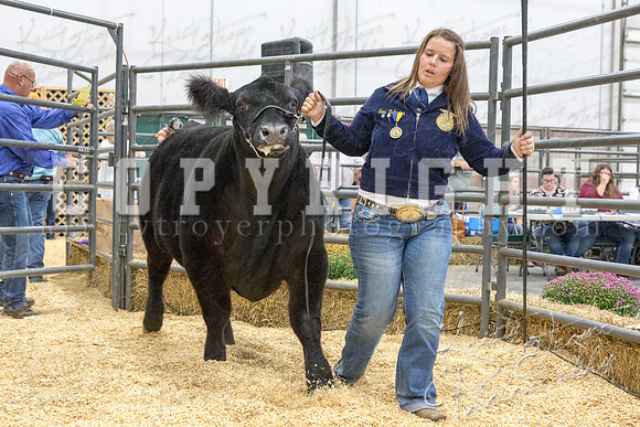 2017_rogers_county_fair-9810