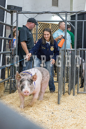 2017_rogers_county_fair-9811