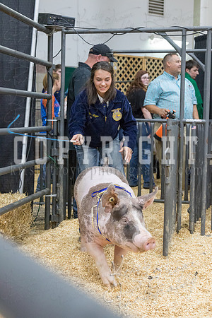 2017_rogers_county_fair-9812