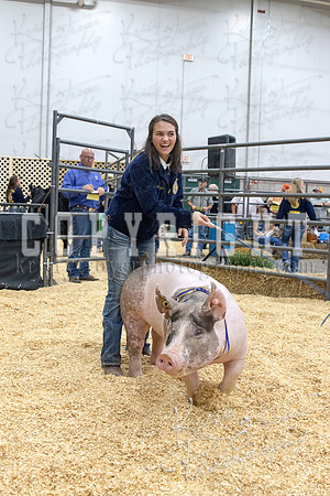 2017_rogers_county_fair-9813