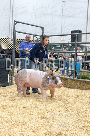 2017_rogers_county_fair-9815