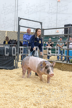 2017_rogers_county_fair-9816