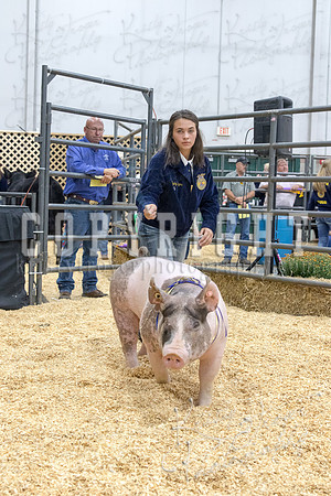 2017_rogers_county_fair-9817