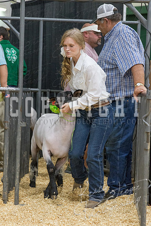 2017_rogers_county_fair-9818