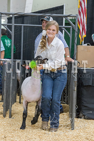 2017_rogers_county_fair-9819