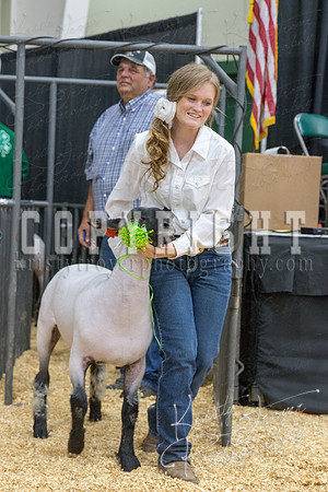 2017_rogers_county_fair-9820