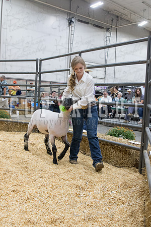 2017_rogers_county_fair-9821