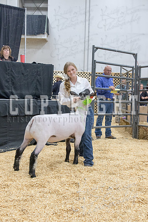 2017_rogers_county_fair-9822
