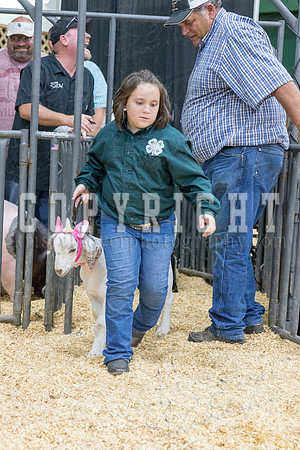 2017_rogers_county_fair-9823
