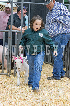2017_rogers_county_fair-9824
