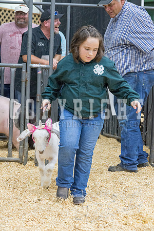 2017_rogers_county_fair-9825