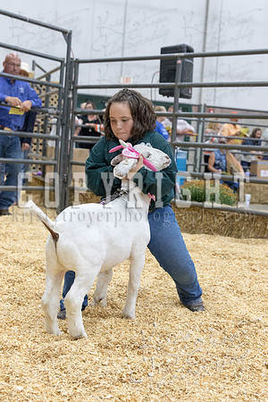 2017_rogers_county_fair-9826