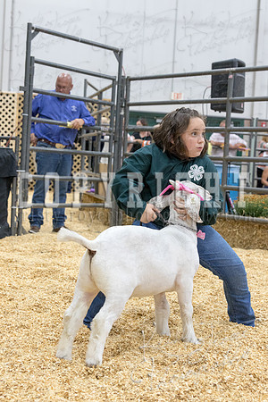 2017_rogers_county_fair-9827