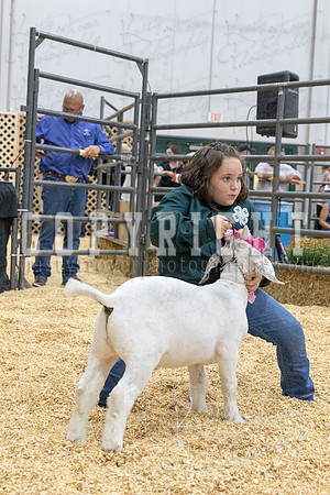 2017_rogers_county_fair-9828
