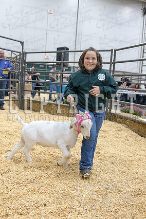 2017_rogers_county_fair-9829