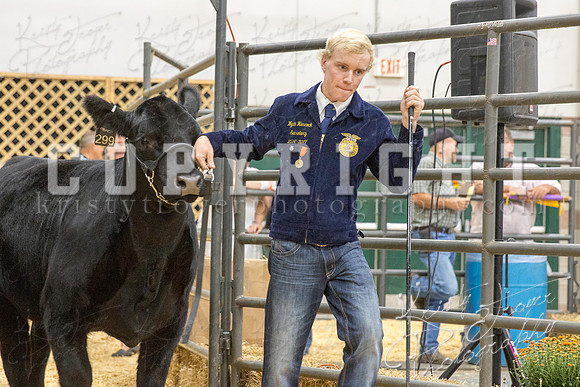 2017_rogers_county_fair-9830