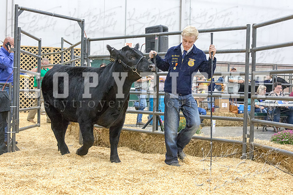 2017_rogers_county_fair-9831