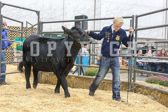 2017_rogers_county_fair-9832