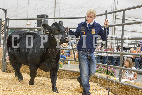 2017_rogers_county_fair-9833