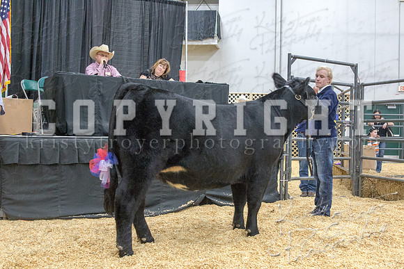 2017_rogers_county_fair-9834