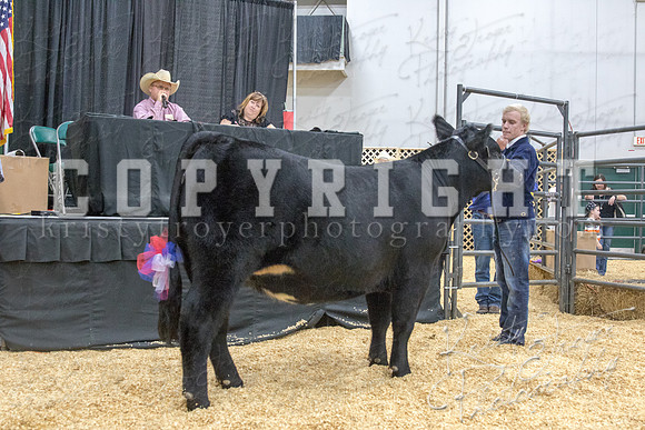 2017_rogers_county_fair-9835