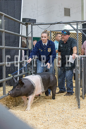2017_rogers_county_fair-9836