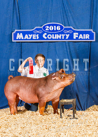 Mayes_County_Fair_Backdrop-0343