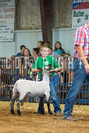 MAYES_COUNTY_FAIR_SHEEP-2935