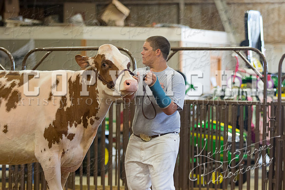MAYES_COUNTY_FAIR_DAIRY-3448