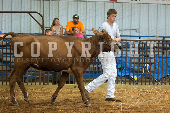MAYES_COUNTY_FAIR_DAIRY-3428