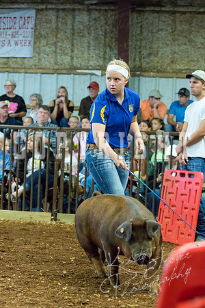 MAYES_COUNTY_FAIR_Swine-9497