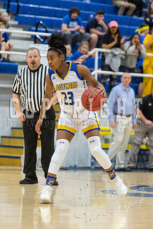 chouteau_vs_hulbert_ basketball-7539