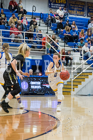 chouteau_vs_hulbert_ basketball-7819