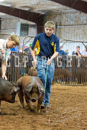 MAYES_COUNTY_FAIR_Swine-9521
