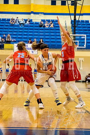 pryor_vs_collinsville_basketball-8784