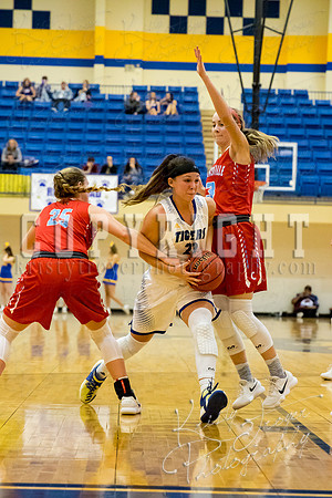 pryor_vs_collinsville_basketball-8785