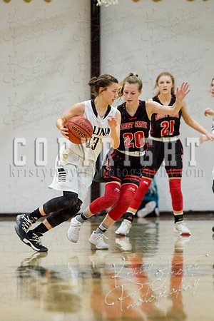 salina_vs_locustgrove_basketball-8890