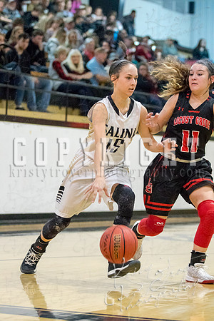 salina_vs_locustgrove_basketball-8934
