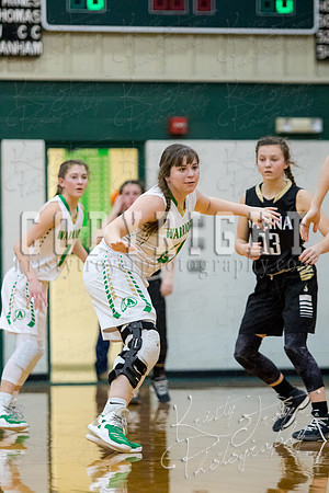 adair_vs_salina_basketball-9380