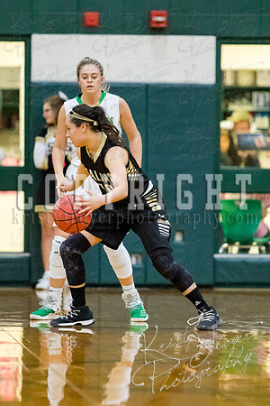 adair_vs_salina_basketball-9417