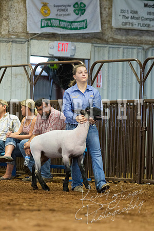 MAYES_COUNTY_FAIR_SHEEP-3085