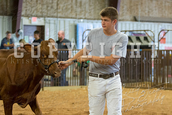 MAYES_COUNTY_FAIR_DAIRY-3433