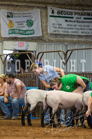MAYES_COUNTY_FAIR_SHEEP-3098