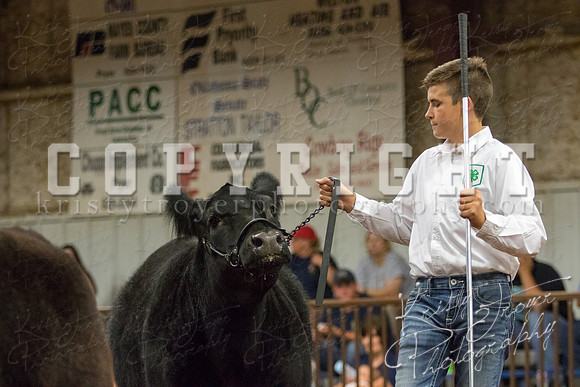 MAYES_COUNTY_FAIR_heifer-4270