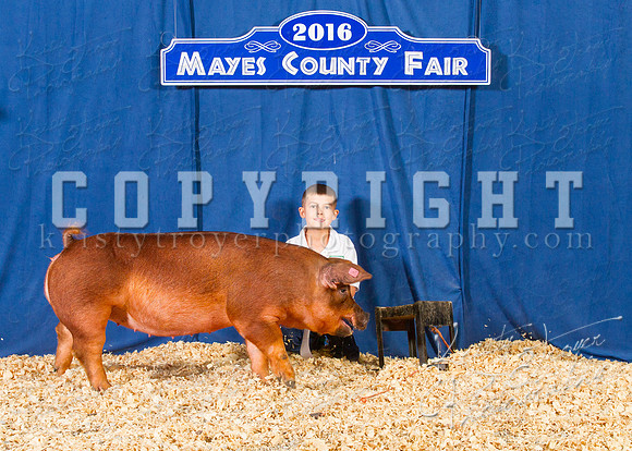 Mayes_County_Fair_Backdrop-0306