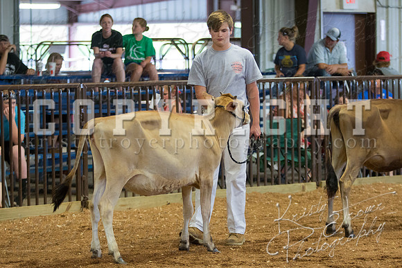 MAYES_COUNTY_FAIR_DAIRY-3361