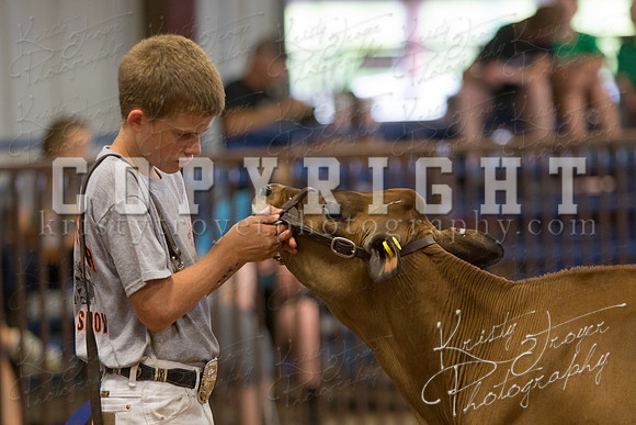 MAYES_COUNTY_FAIR_DAIRY-3362