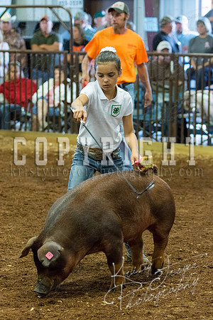 MAYES_COUNTY_FAIR_Swine-9490